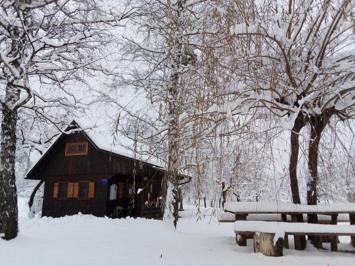 Kuca Za Odmor Cindric Villa Слуни Екстериор снимка