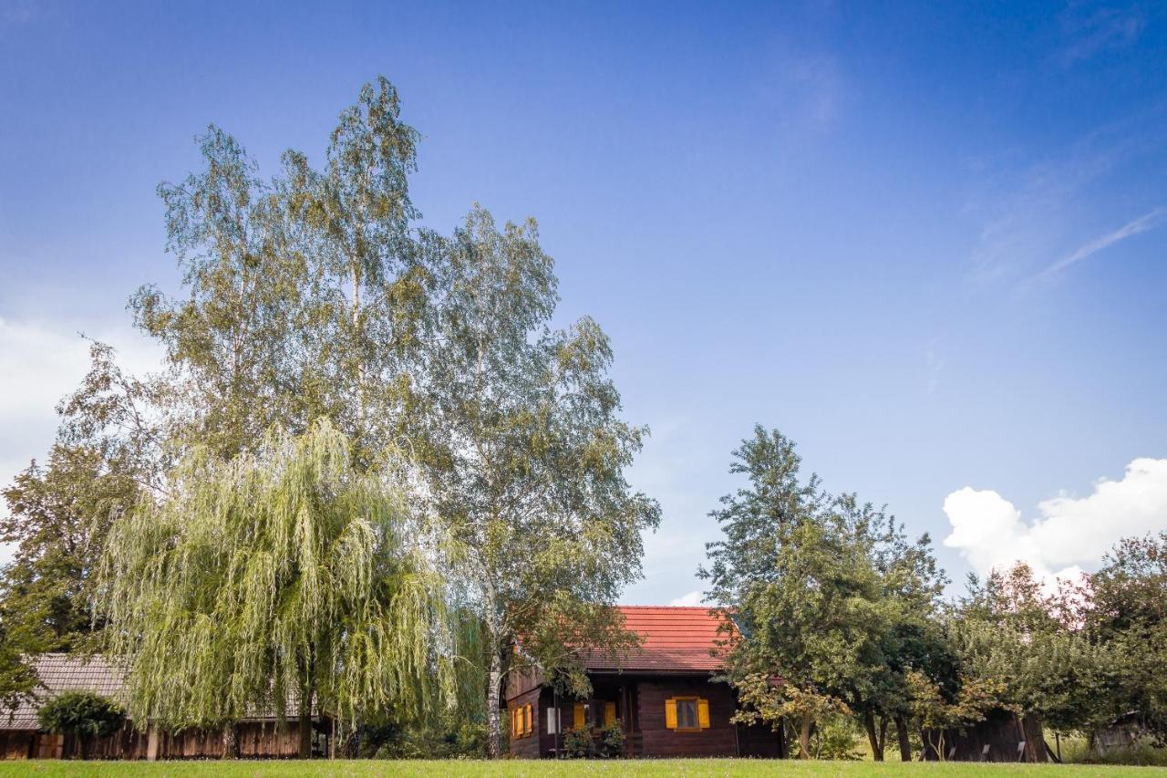 Kuca Za Odmor Cindric Villa Слуни Екстериор снимка