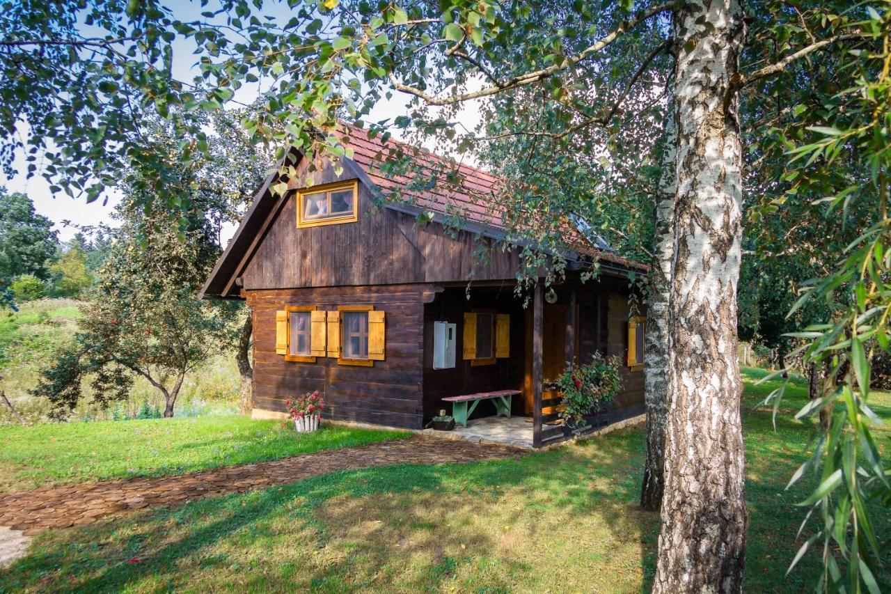 Kuca Za Odmor Cindric Villa Слуни Екстериор снимка